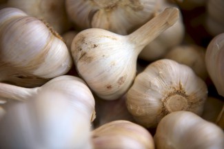 Natural Rx: The Best Herbs and Supplements for Your Immune System