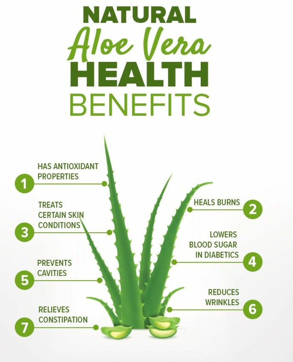 The Powerful Health Beauty Benefits of Aloe Vera for Skin Care and Anti-Aging