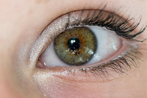 30911060120 02a23bab62