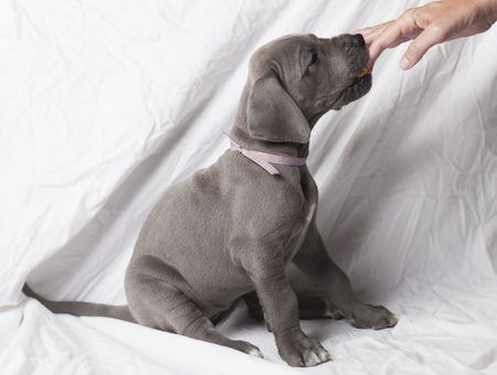 61611527 s e1487047094522