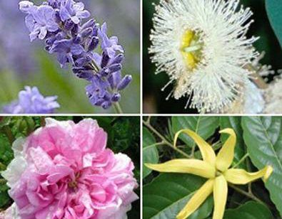 8f455be353060199b94fd0573c224ba7 e1483113566266