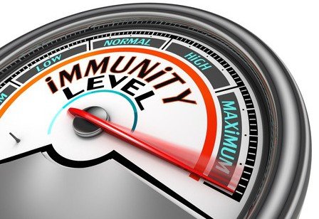 herbs immune system e1450368507166