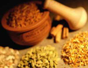 natural antiviral herbs e1486682635706