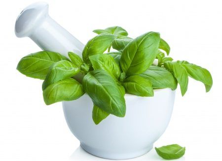 what must know herbal medicine e1486583460917